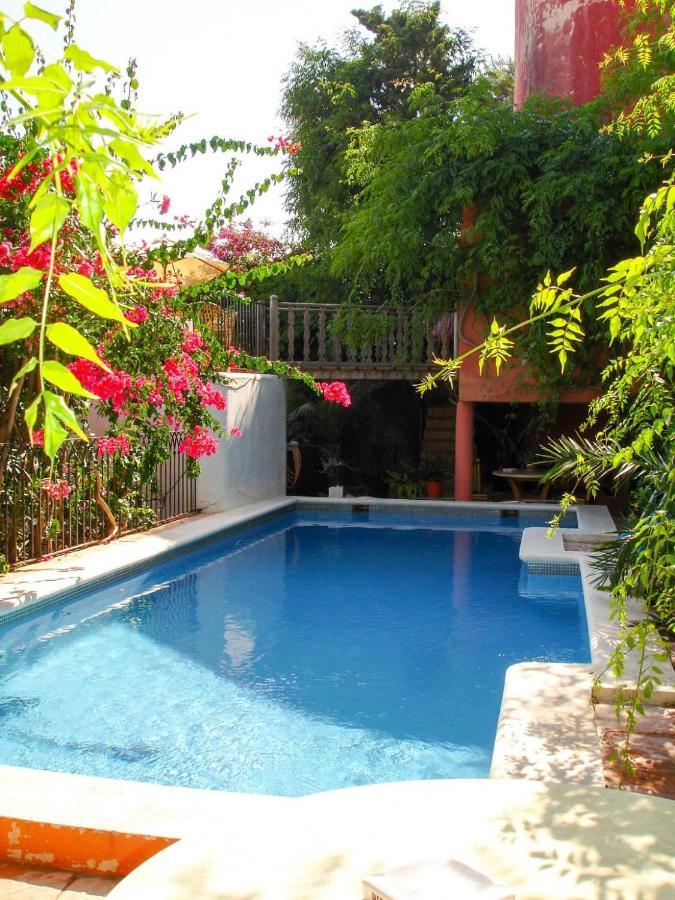 Navila Estudio En La Piscina Appartement *